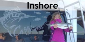 inshore-gallery